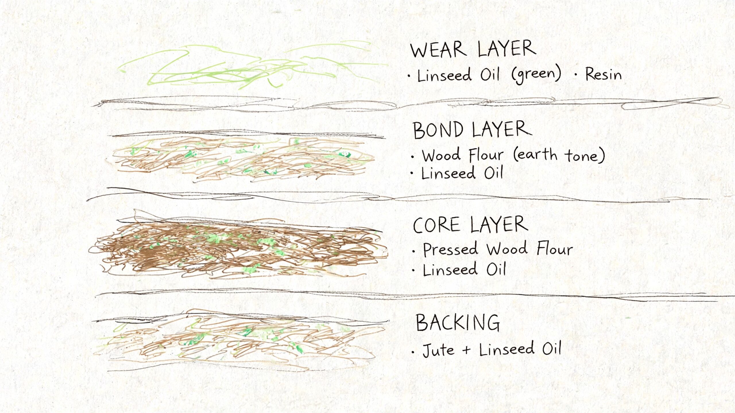En illustration af de fire lag i linoleum, herunder slidlag, bindelag, kerne og bagside med tilhørende materialer.