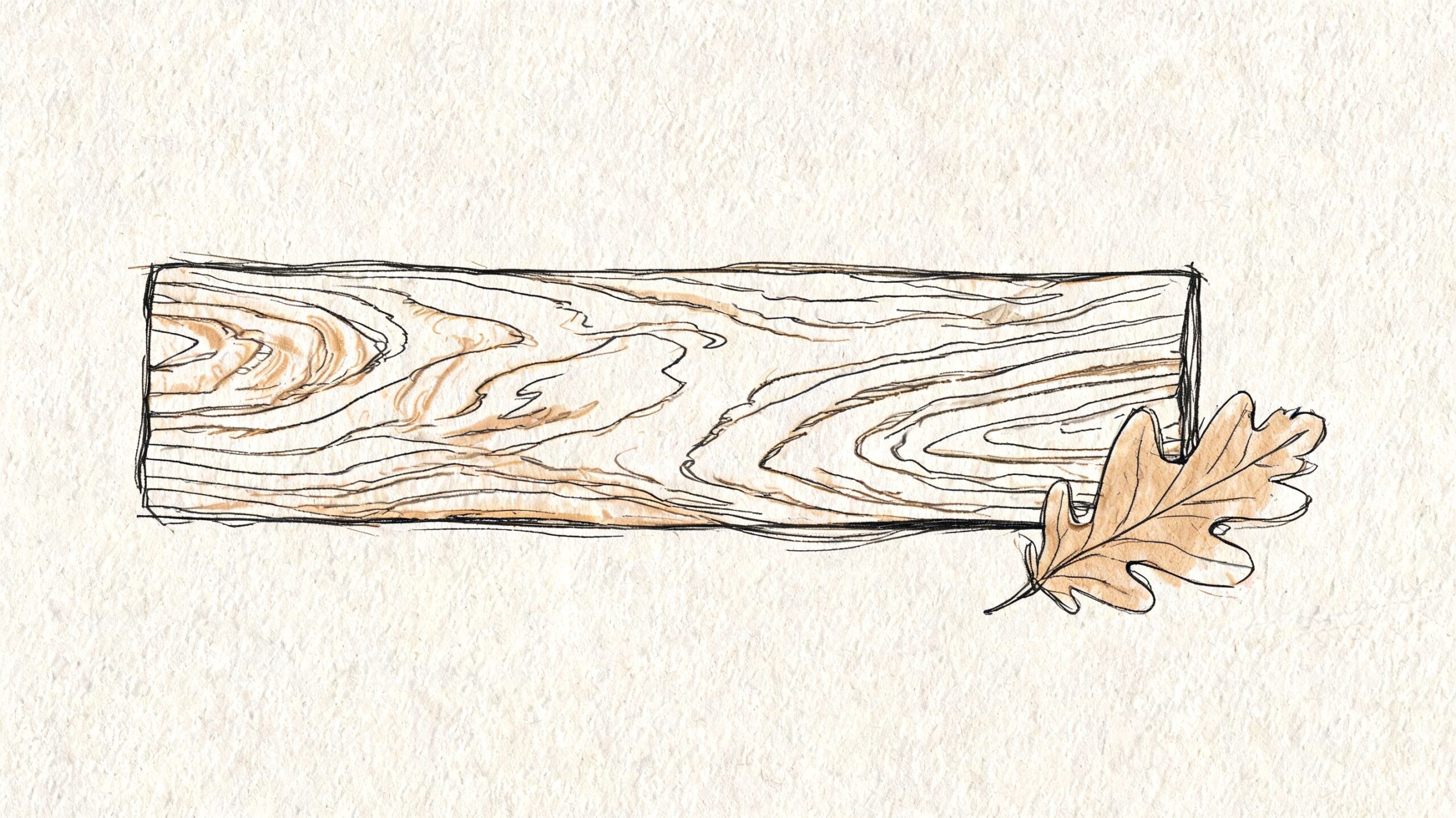 En håndtegnet illustration af en træplanke med en enkelt egetræsblad ved siden af på en tekstureret baggrund.